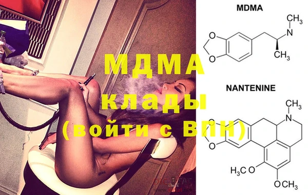 шишки Магас