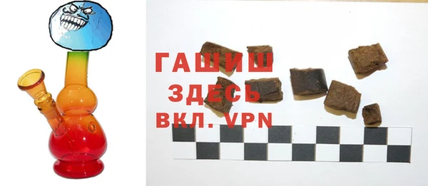 шишки Магас