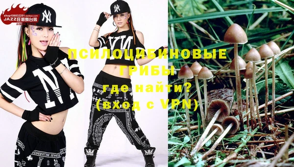 дживик Майский